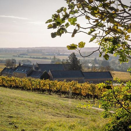 Domaine Beausejour Bed and Breakfast Panzoult Exteriör bild