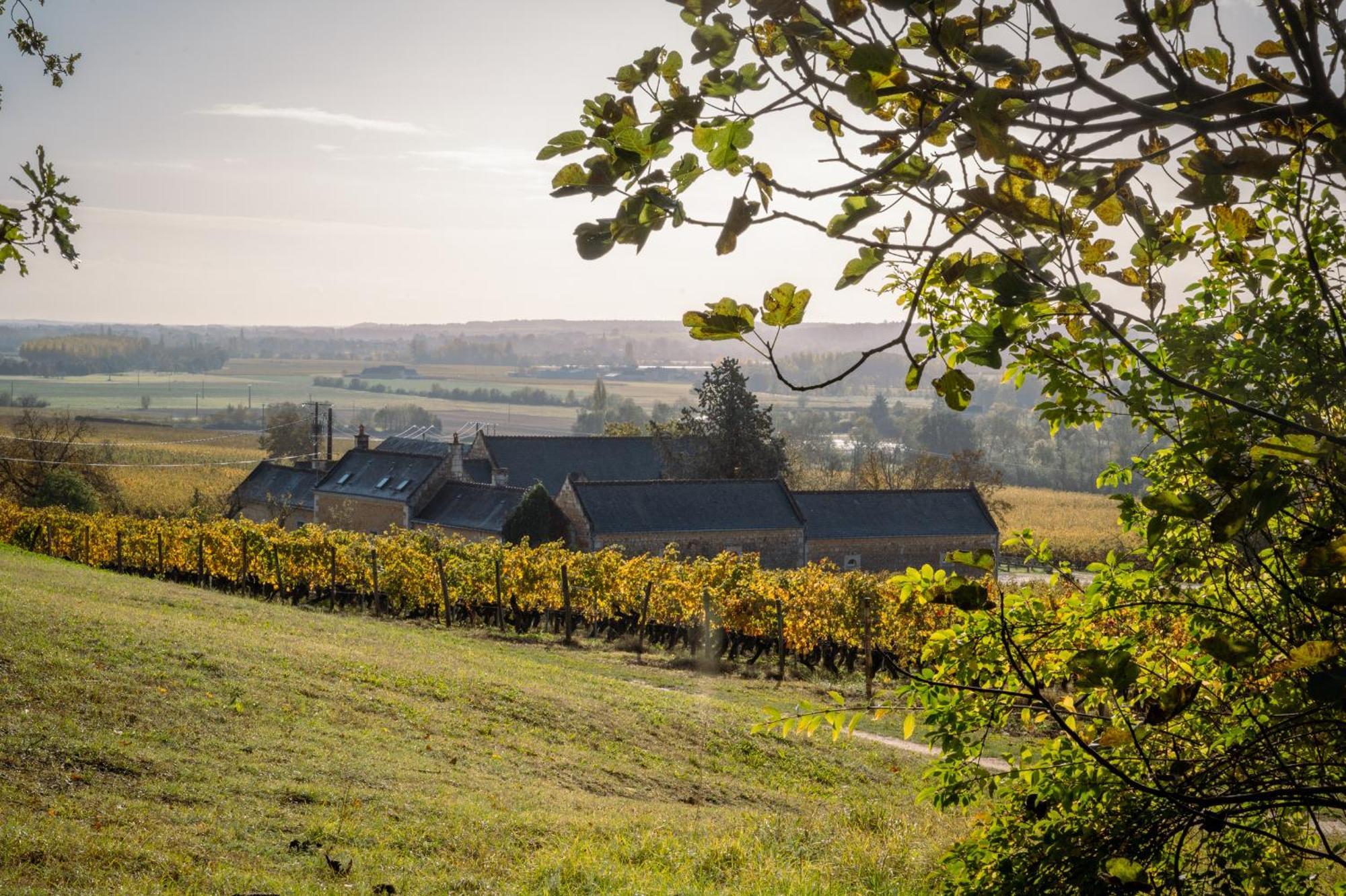 Domaine Beausejour Bed and Breakfast Panzoult Exteriör bild