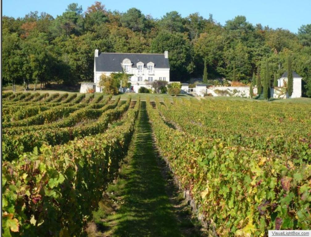 Domaine Beausejour Bed and Breakfast Panzoult Exteriör bild